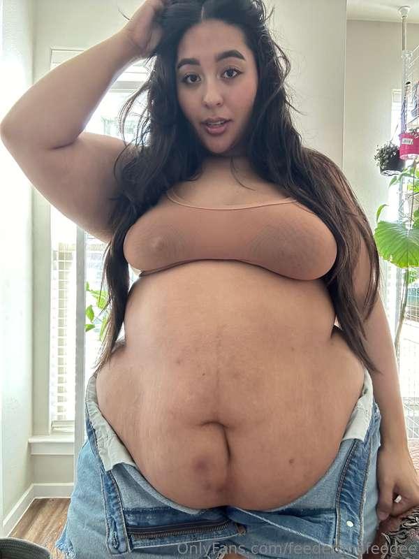 feederandfeedee image #1