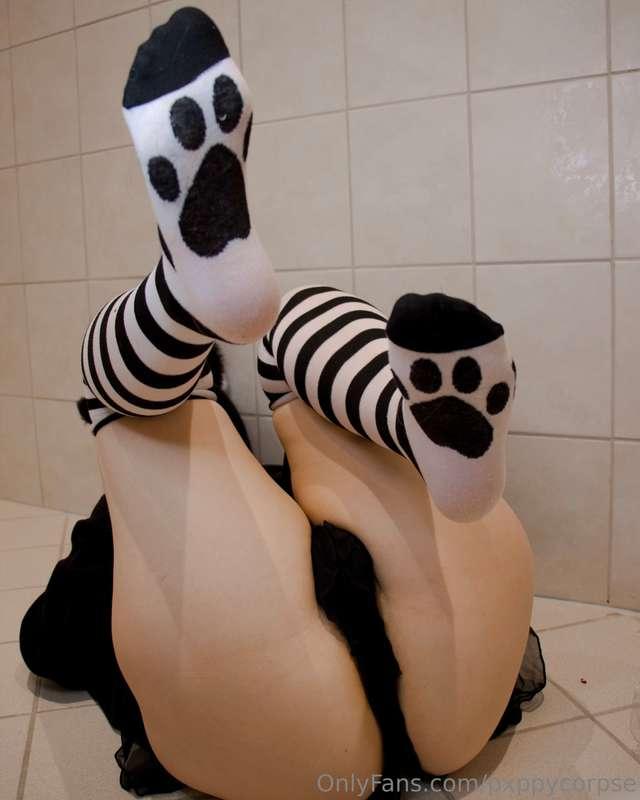 pxppycorpse image #1