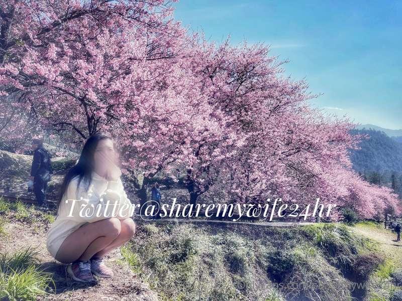 人是回來台北上班了，但是我的心卻留在武陵‼️

🔅那天天氣真的冷，冷到屁屁都起雞皮疙瘩了😮‍💨