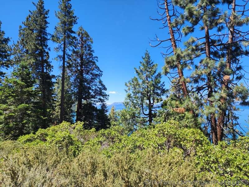 miaannabella83 image #15