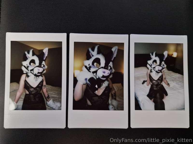 Polaroid pictures in my fursuit Bailey ♡