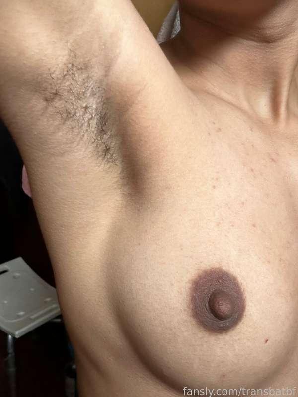 transbatbf image #75