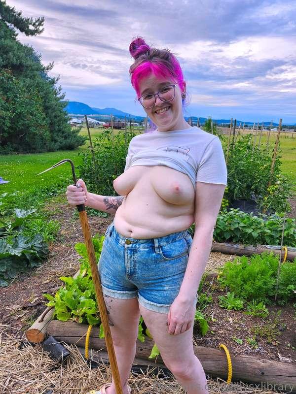 lillysxlibrary image #0