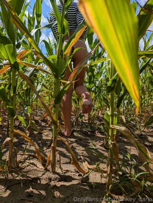 monkey_daria image #1