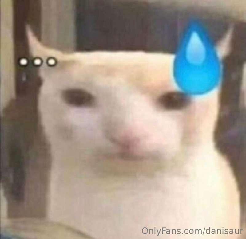 danisaur image #0