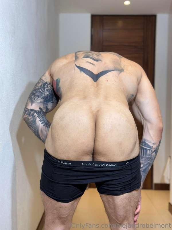 alejandrobelmont image #3