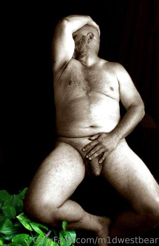 m1dwestbear image #2