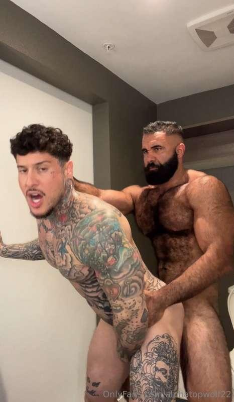 alphatopwolf22 image #18