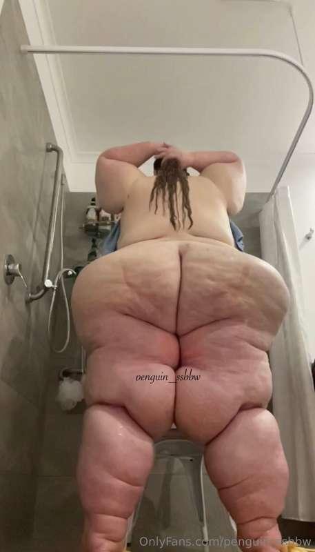 penguin_ssbbw image #6