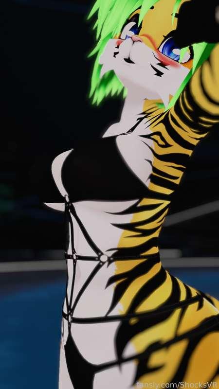 shocksvr image #4