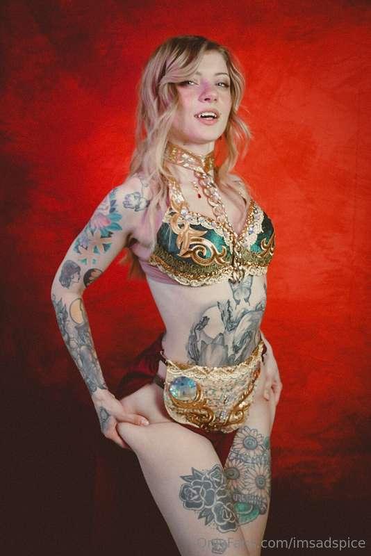 imsadspice main image