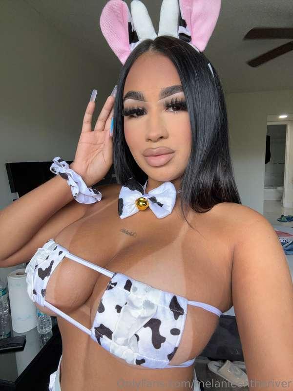 Is it too much to ask? I just wannabe fucked hard…💦