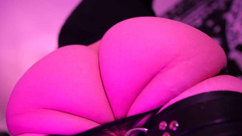 thedissounds image #37