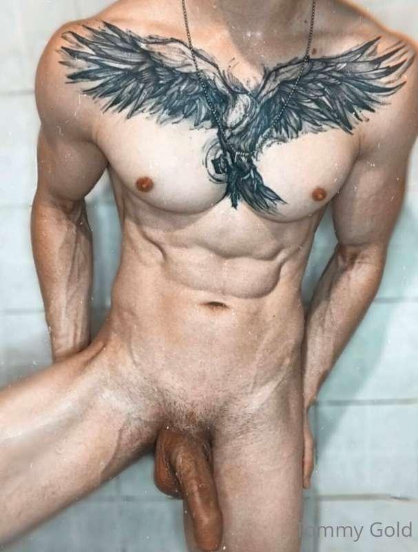tommy_gold image #1