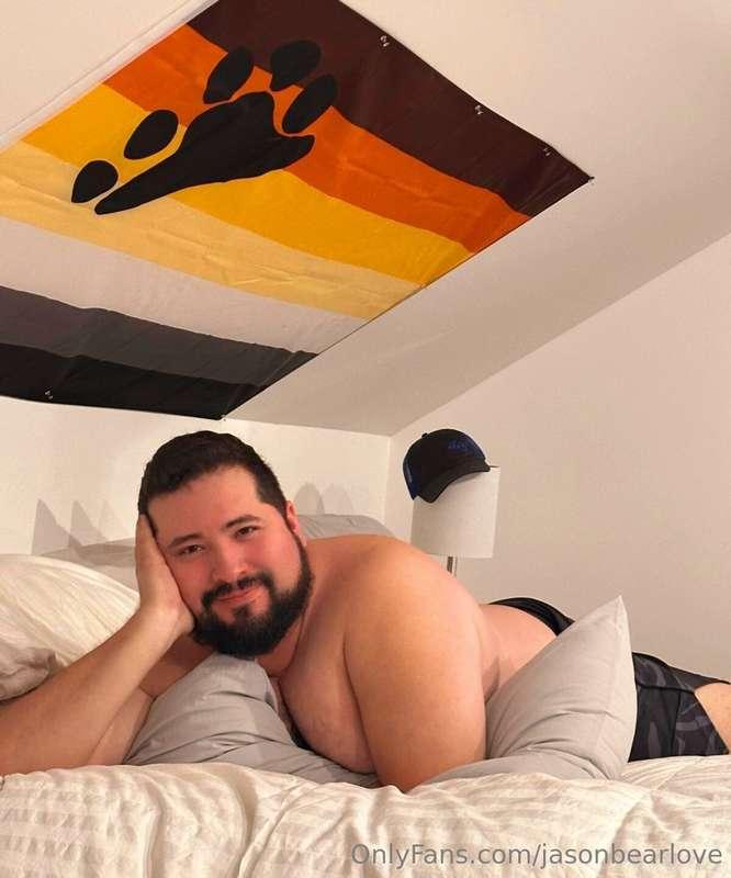 Night time photo shoot 🐻