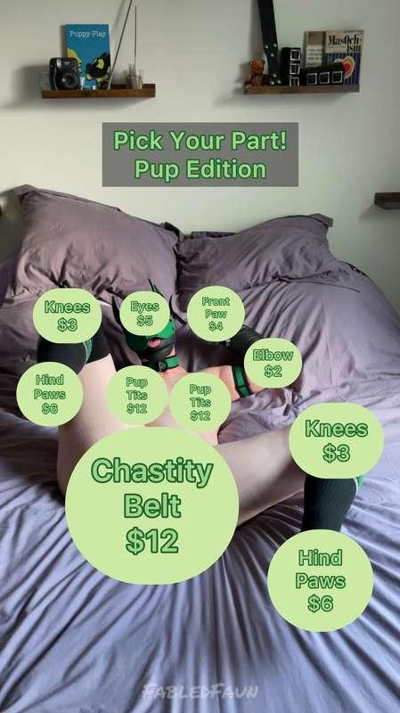Game time! Game time! Game time!
Pick Your Part!: Pup Edition

Roll a D20 per photo.
That is how much you have to spend to unlock.
What are you unlocking first? Comment results!
Remember your place, cuck. You’re less-than a dog that’s in chastity.

#pupplay #explore #petplay #betasafe #censored #alternative #beta #game #interactive #chastitybelt #bdsm