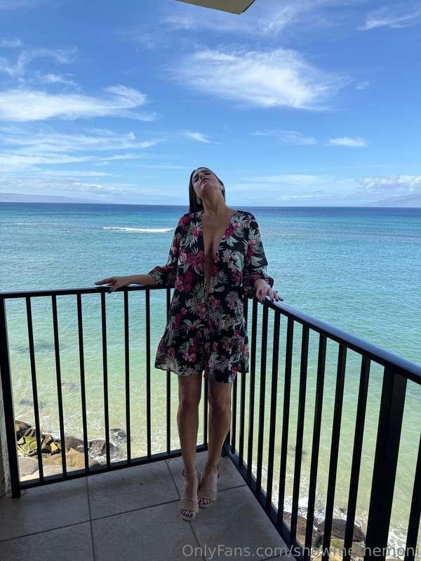 showmethemoni image #6