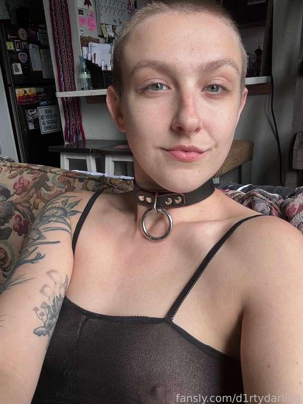How’s your Monday? 🖤
#babe #tattooed #collar #smalltits #nomakeup #shavedhead #prettygirl