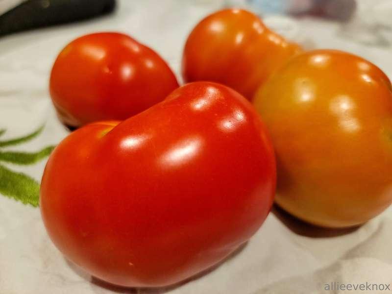 First tomato bounty of the year!