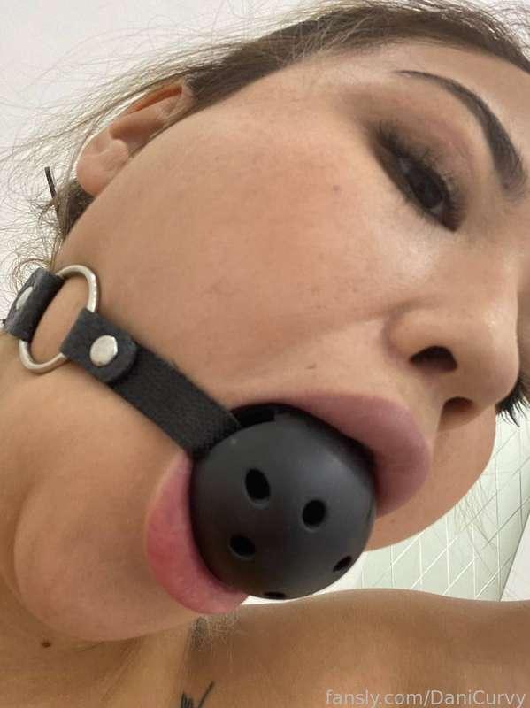danicurvy image #0