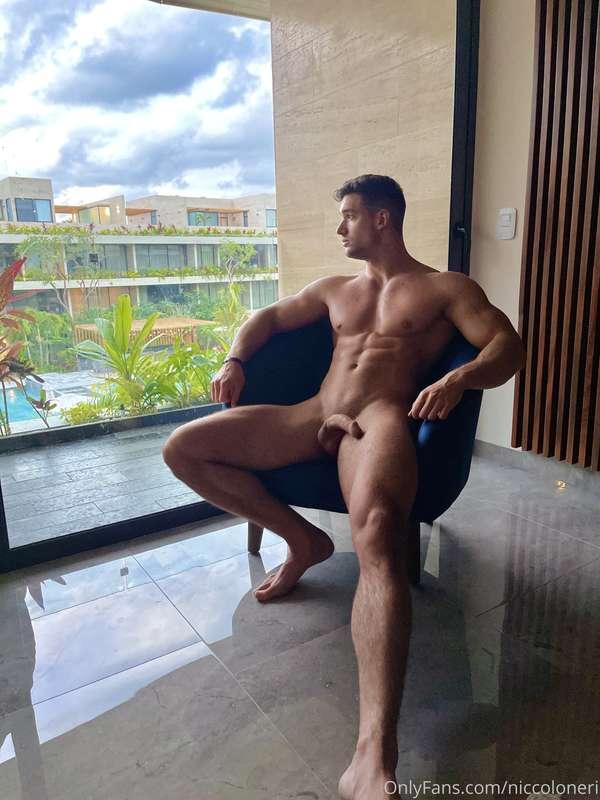 niccoloneri main image