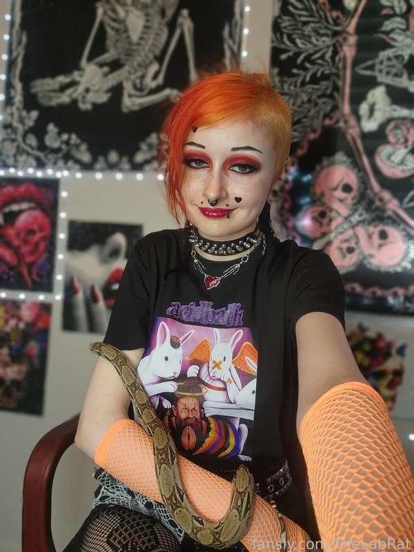 thelabrat image #3