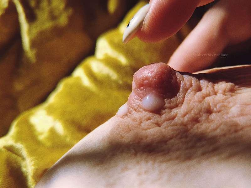 narratophile image #3