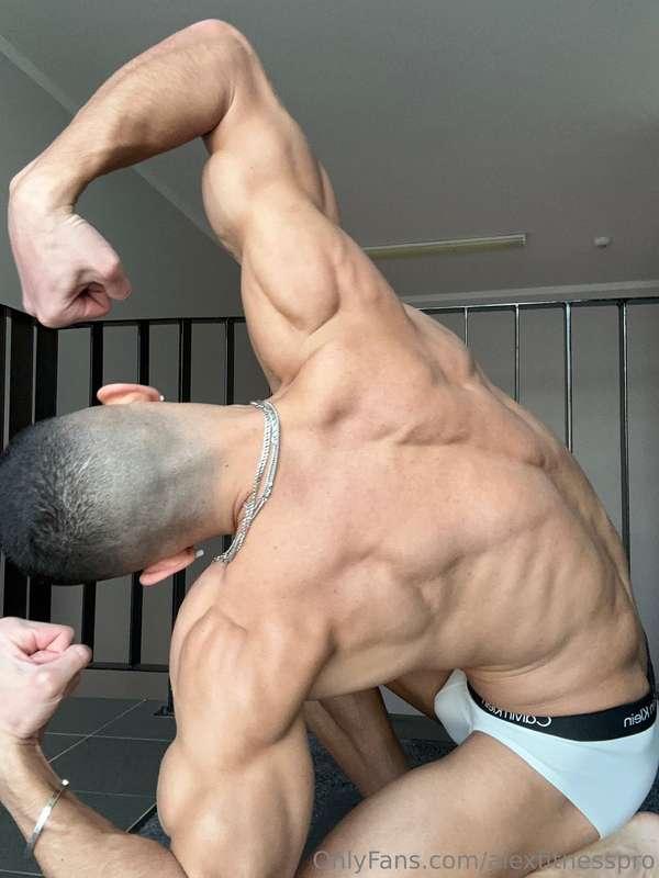alexfitnesspro image #27
