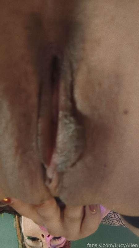lucyalien image #2