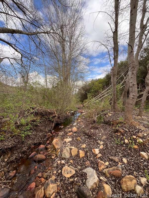 sugar_babe_kat image #10