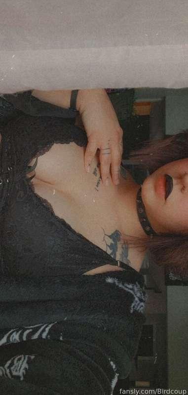 coophound image #9