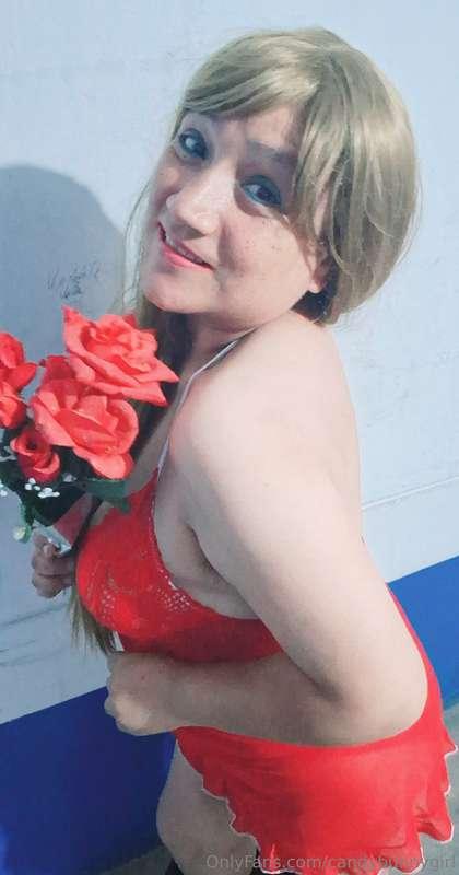 hi....my dear bunnylovers,,,,,,,,roses for you