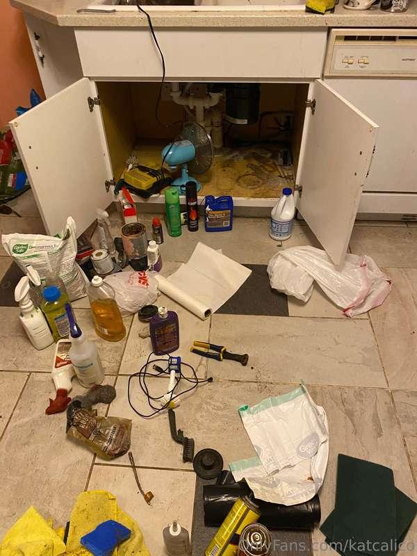 A leak. I’ve been needing to eat out.