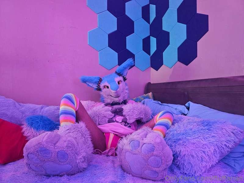 Mind helping me stretch out?~ 🧀