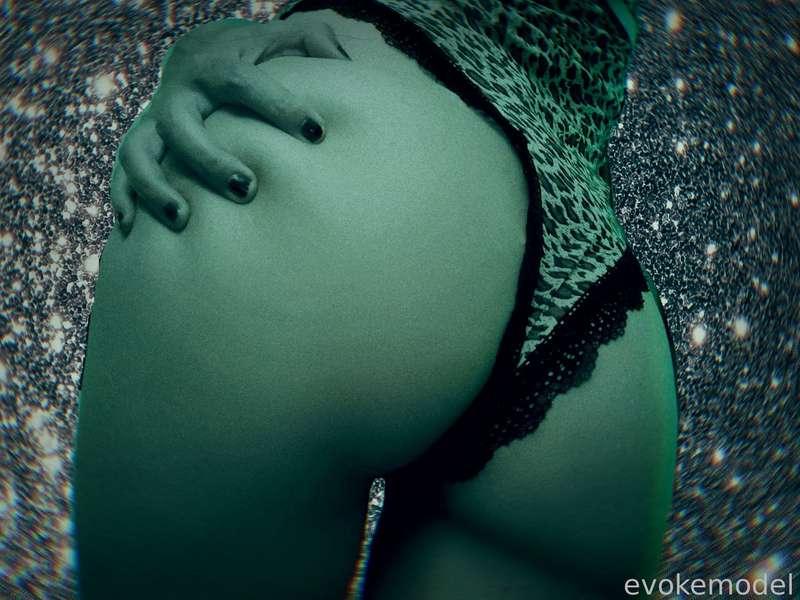 evokemodel image #0