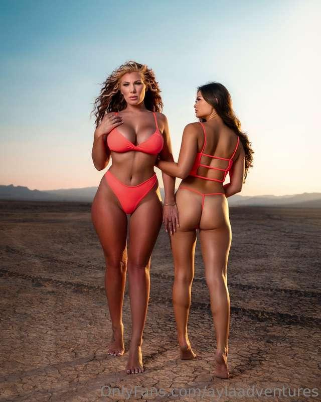 Happy hump day 🐫