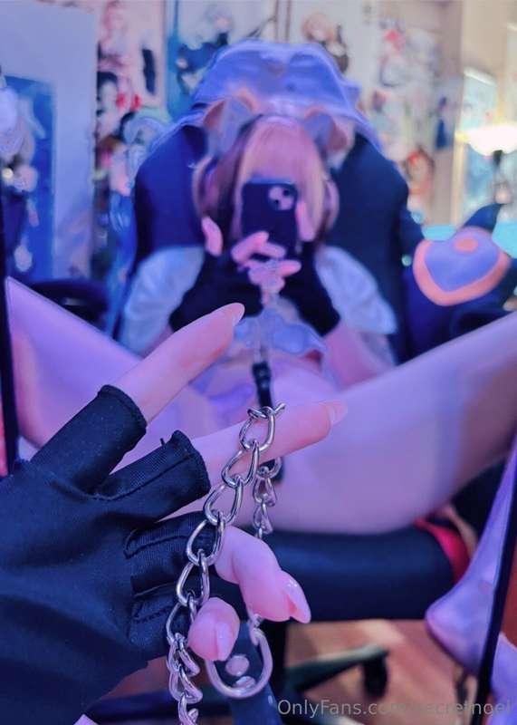 leash puppy