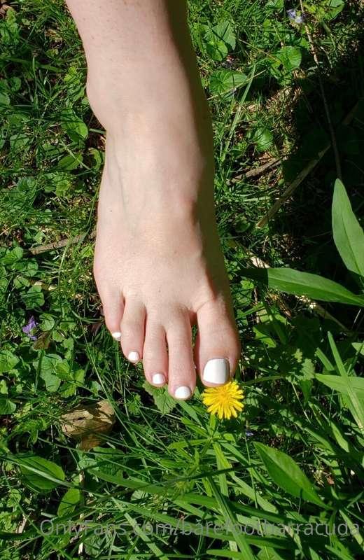 Fresh pedi