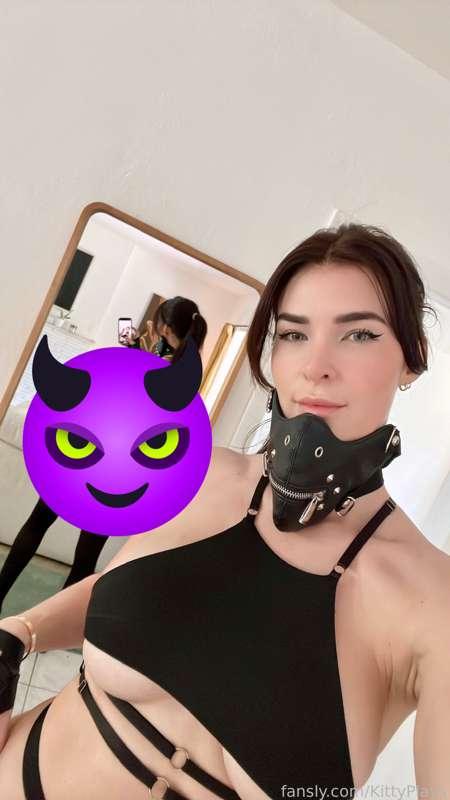 kittyplays image #4