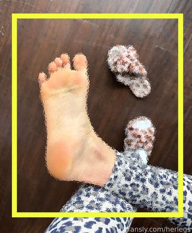 herlegs image #2