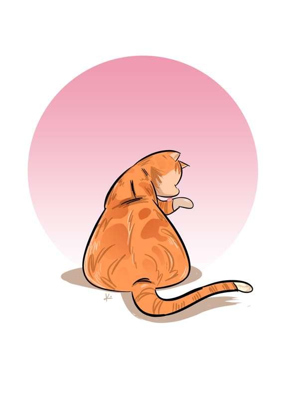 Pet Portraits!