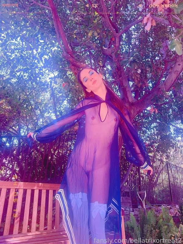bellatrixortreat2 image #3