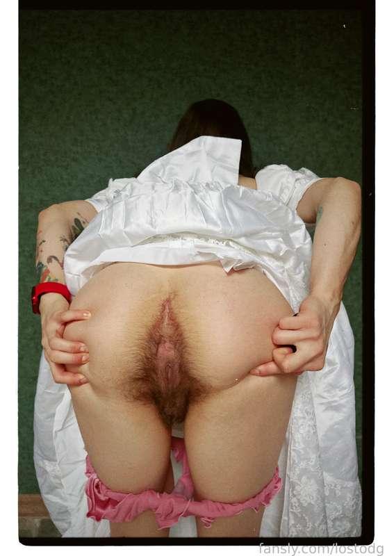 lostodg image #6