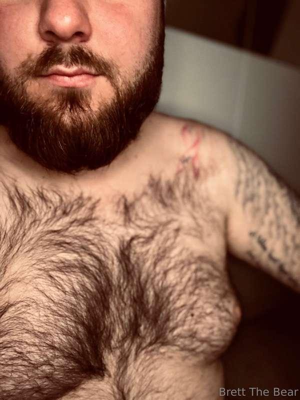 A big hairy bear. At your service 😏