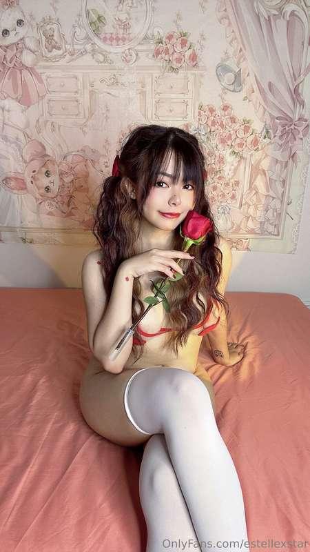 Where are my Roses?💋