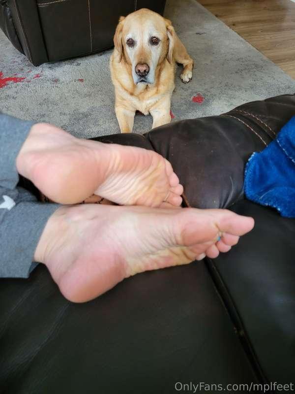 For the dogs🐶😜