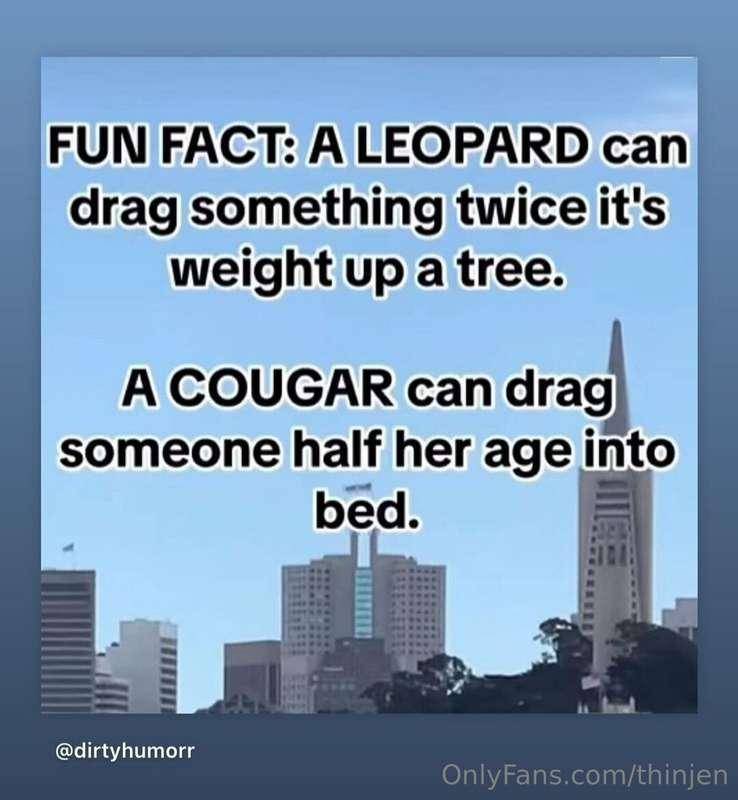 🤣