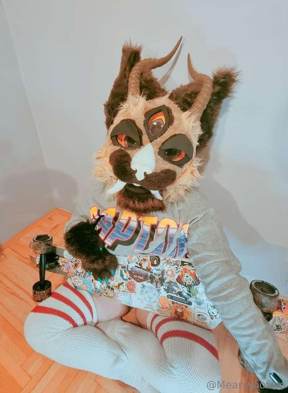 *She was a skater lynx, she said see you later boy...* ***bu..