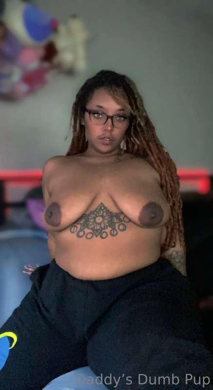 freeusepup image #3