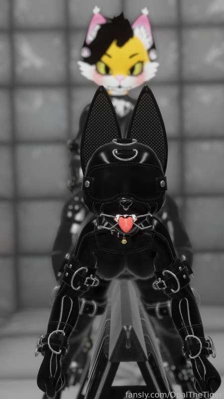 opalthetiger image #5